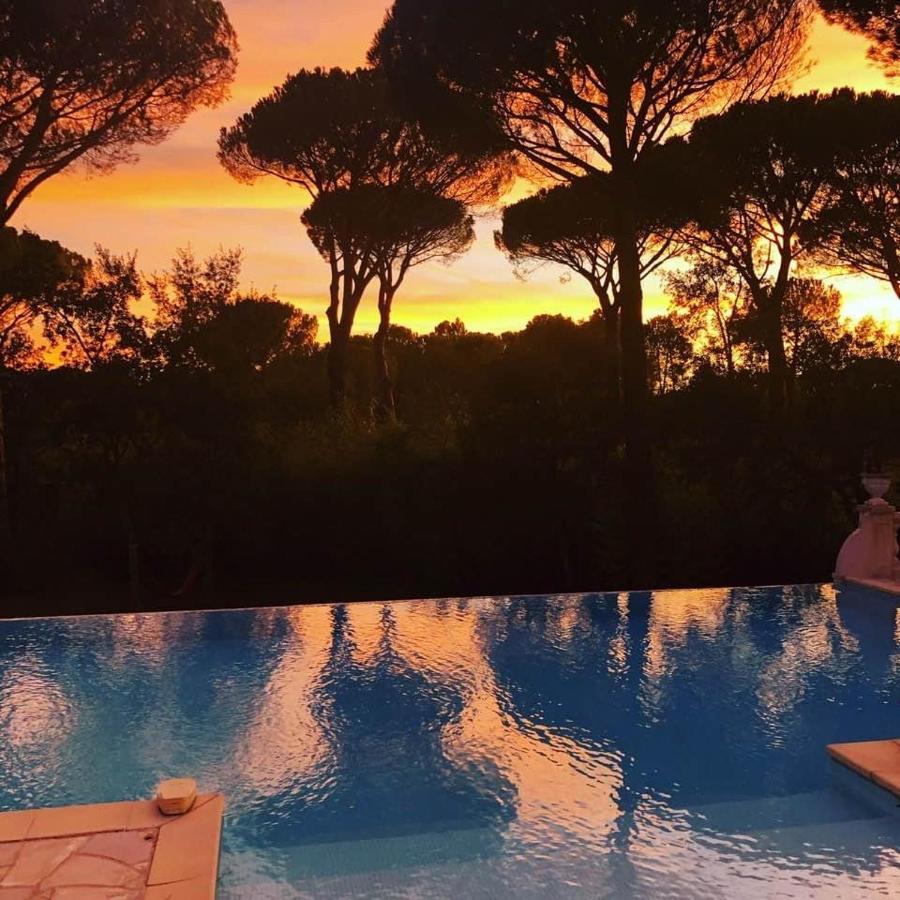 La Villa D’Aimée Vidauban Exterior foto